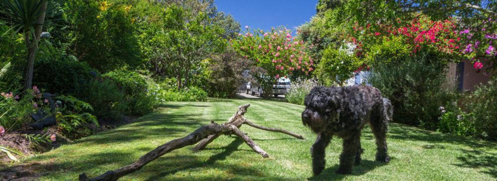 Cornerway House Hotel Plettenbergbaai Buitenkant foto